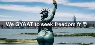 we gyatt to seek freedom|seek freedom Meme Generator .